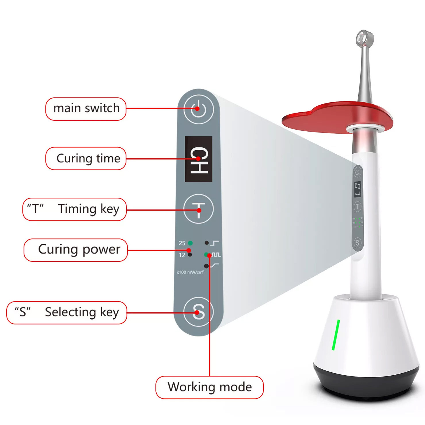 Betterwayfs C25 Plus Dental Wireless LED Curing Light with Flexible Head